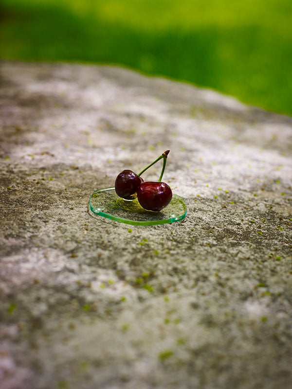 Platillo Energético Small Revitalizador de Alimentos Gold