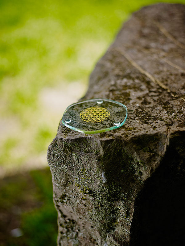 Platillo Energético Small Revitalizador de Alimentos Gold