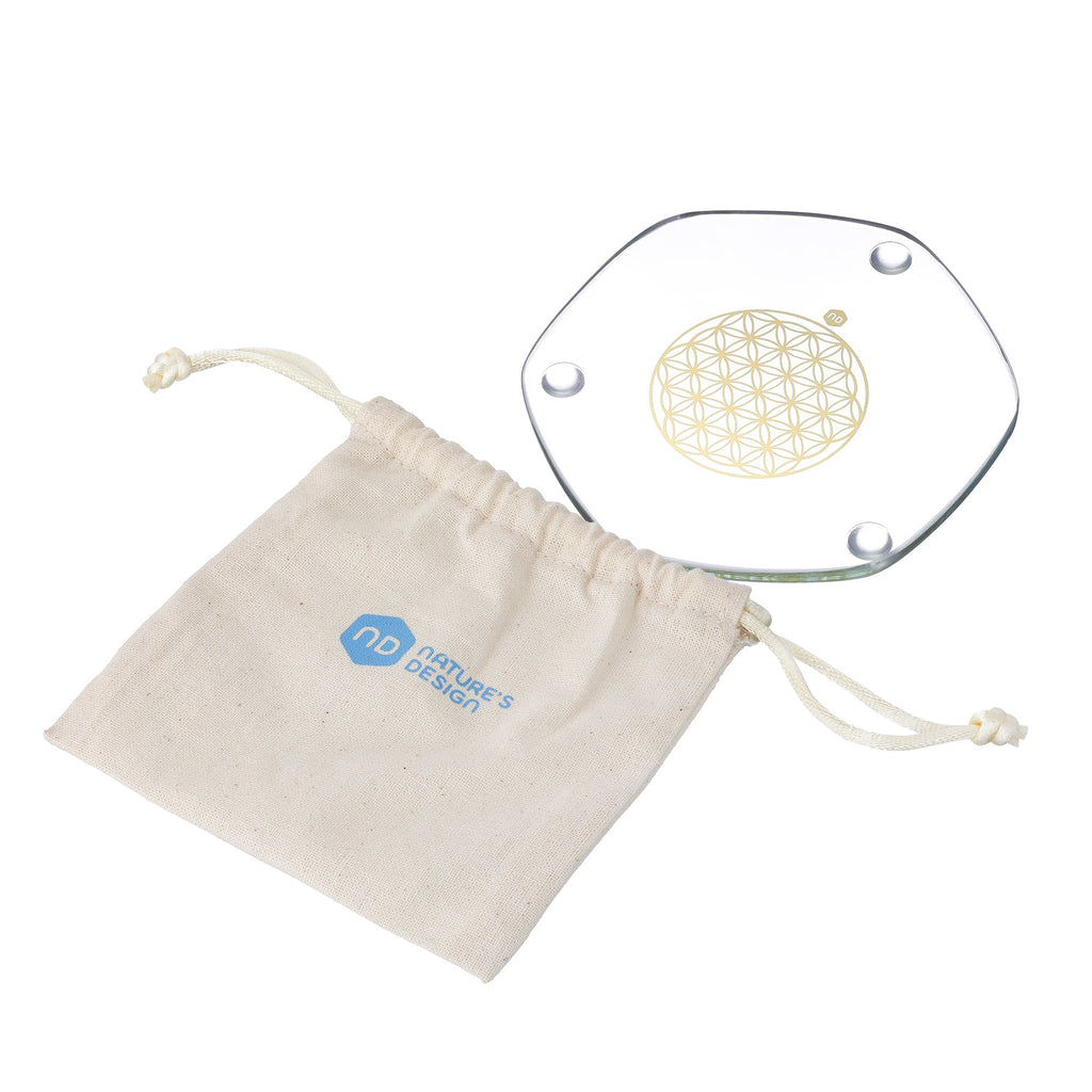 Platillo Energético Large Revitalizador de Alimentos Gold