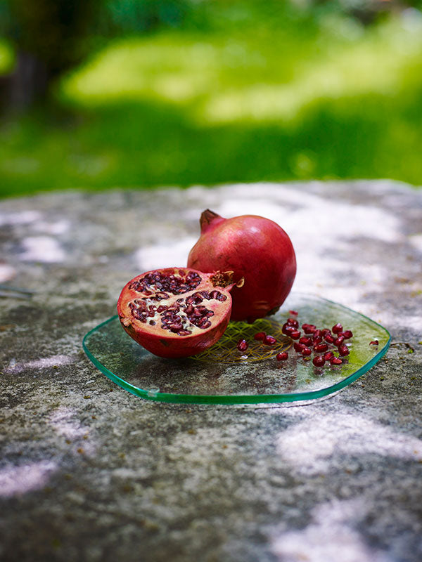 Platillo Energético Large Revitalizador de Alimentos Gold