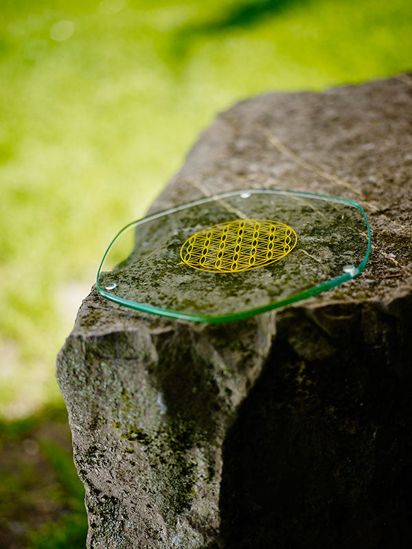 Platillo Energético Large Revitalizador de Alimentos Gold