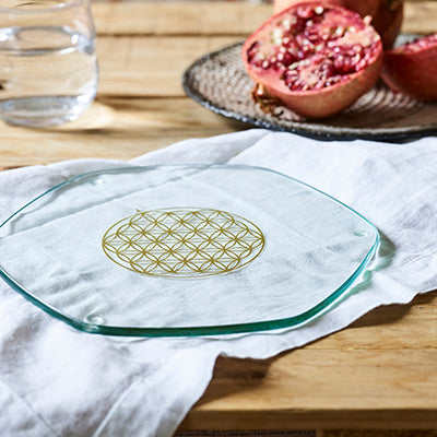 Platillo Energético Large Revitalizador de Alimentos Gold