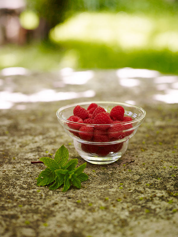 Bowl Revitalizador de Alimentos Cotula Small