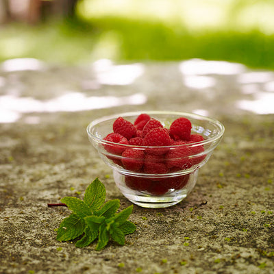 Bowl Revitalizador de Alimentos Cotula Small