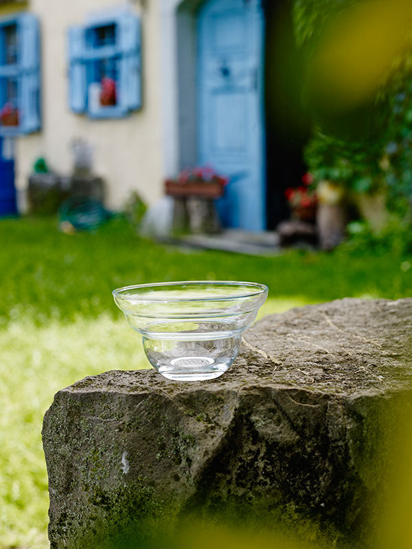 Bowl Revitalizador de Alimentos Cotula Small