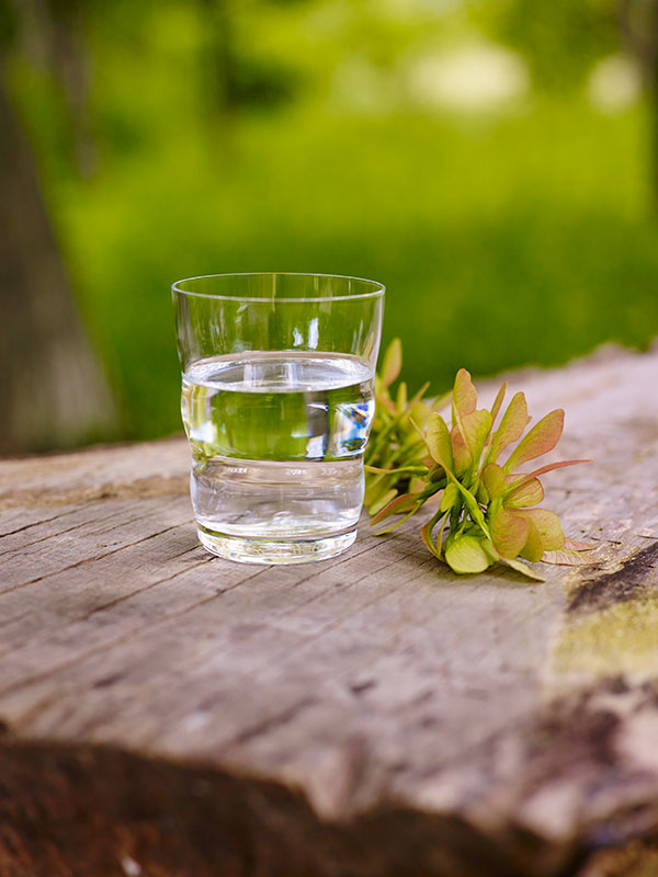 Vaso de Agua Revitalizador Jasmina Platinum