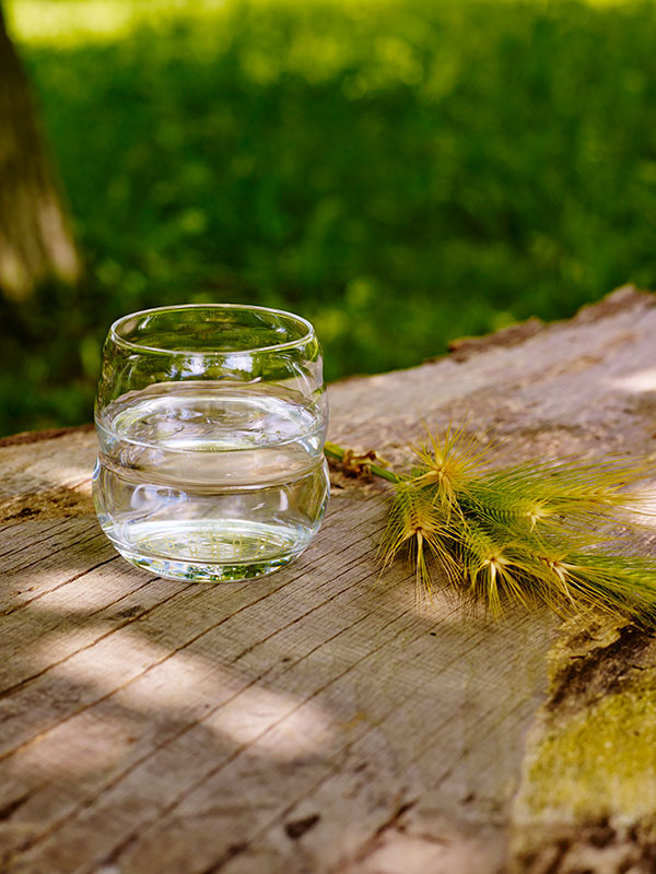 Vaso de Agua Revitalizador Mythos Gold