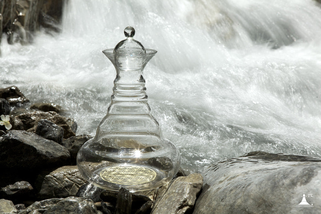 Jarra de Agua Revitalizadora Alladin Platinum 1.3 l