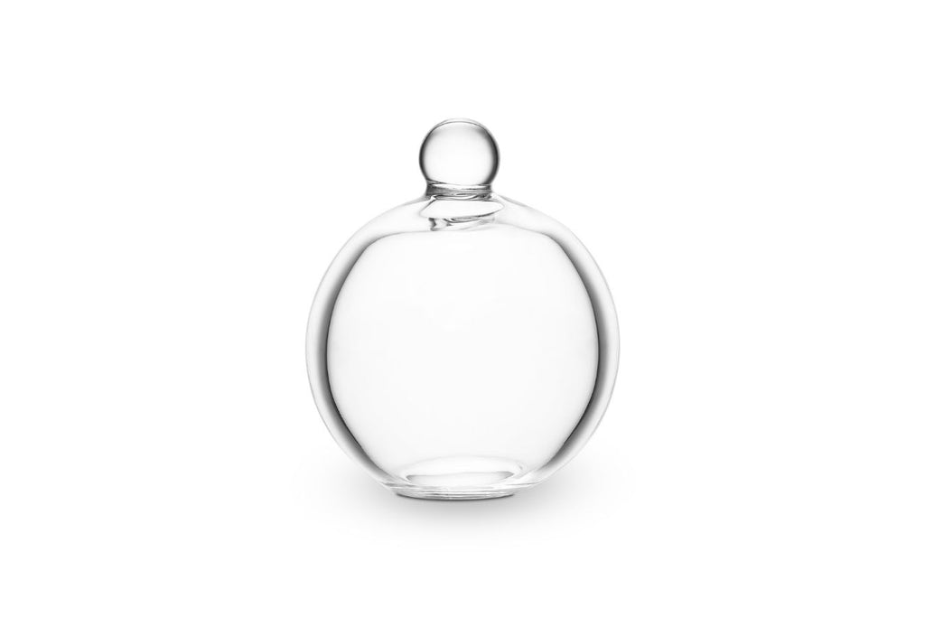 Repuesto de Tapa de Vidrio para Jarra Alladin Family Glass 2.3 l