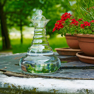 Jarra de Agua Revitalizadora Alladin Gold Family 2.3 l