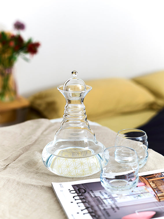 Jarra de Agua Revitalizadora Alladin Platinum 1.3 l