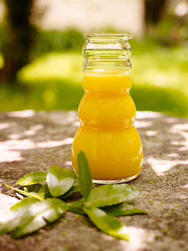 Jarra de Agua Revitalizadora Cadus 1 l