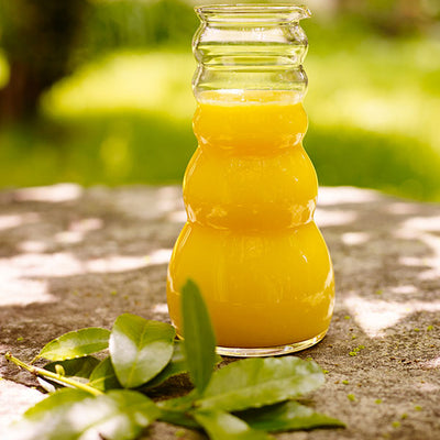 Jarra de Agua Revitalizadora Cadus 1 l