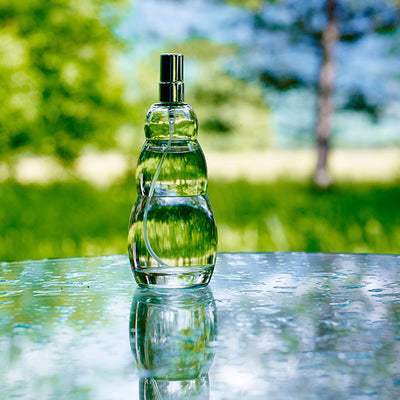 Atomizador de Agua Spray Air-Ion