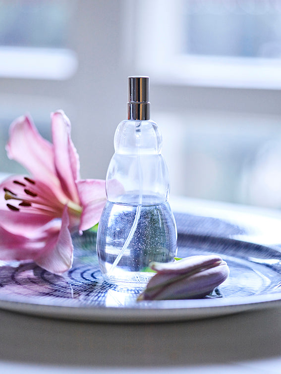 Atomizador de Agua Spray Air-Ion