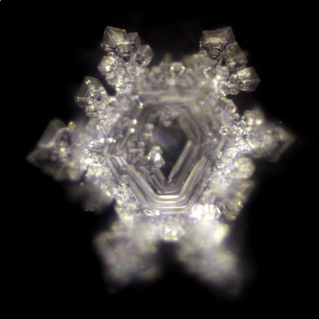 Pedestal de Madera de Fresno y base de corcho para Jarra Beauty Platinum 5 l