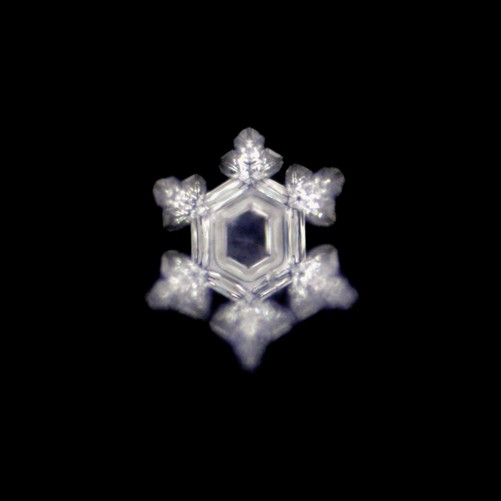 Platillo Energético Small Revitalizador de Alimentos Gold