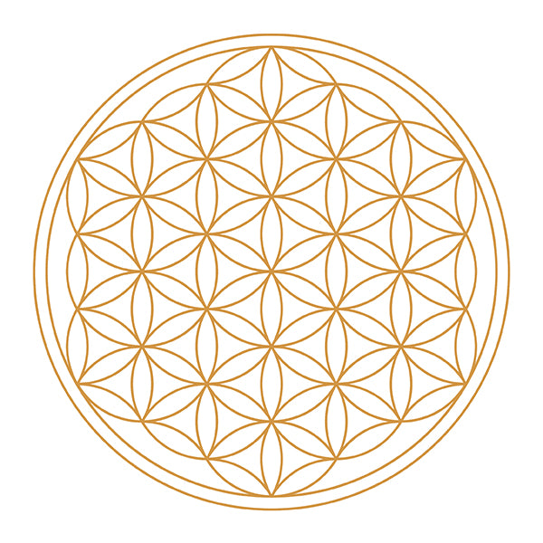 Jarra de Agua Revitalizadora Alladin Gold 1.3 l