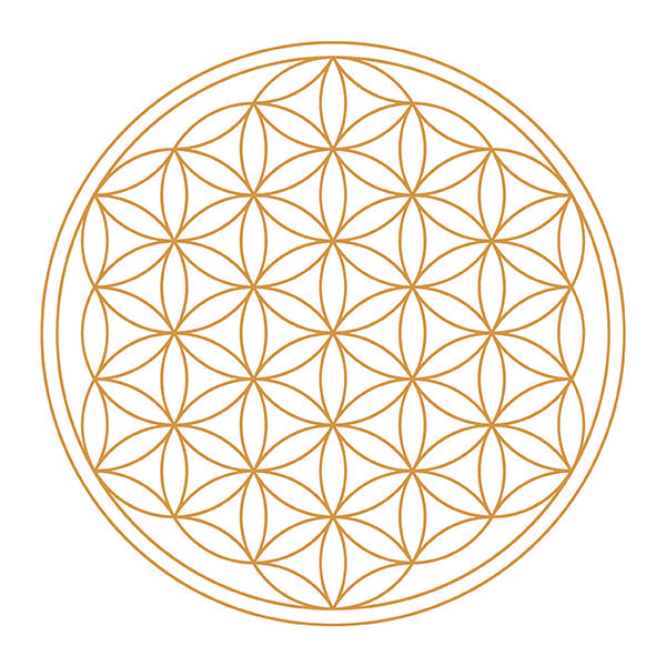 Jarra de Agua Revitalizadora Alladin Gold Family 2.3 l