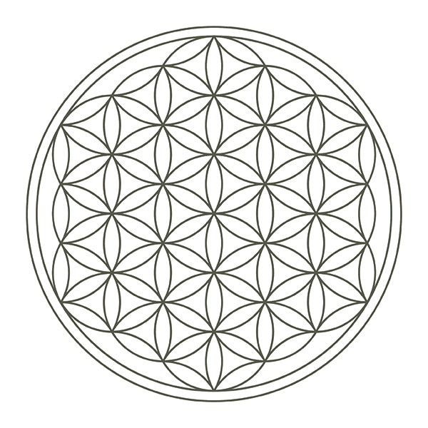 Jarra de Agua Revitalizadora Alladin Platinum 1.3 l