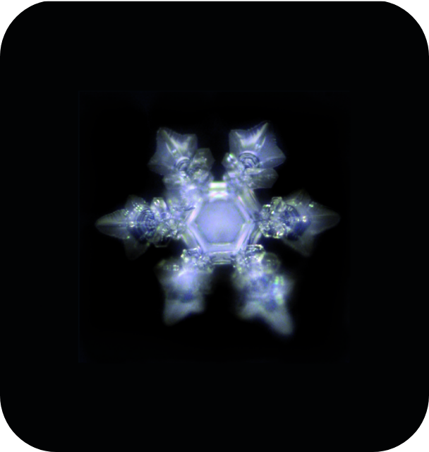 Jarra de Agua Revitalizadora Alladin Gold Family 2.3 l